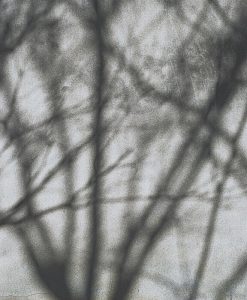 写真家・高野勝洋の写真